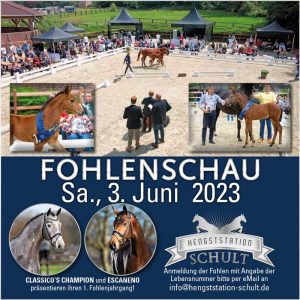 Schult_Fohlenschau_030623_FB